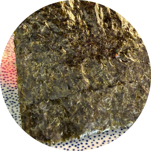 Alga