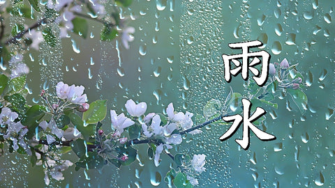 Água da chuva 雨水 (yǔ shuǐ)