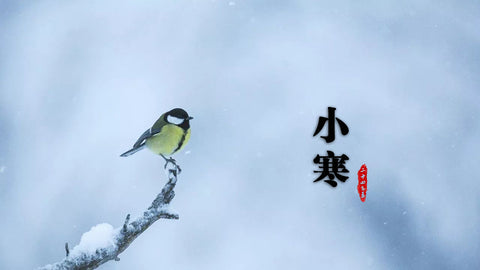 小寒 (Xiǎo Hán) — Pequeno Frio